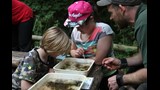 pond dipping (1)